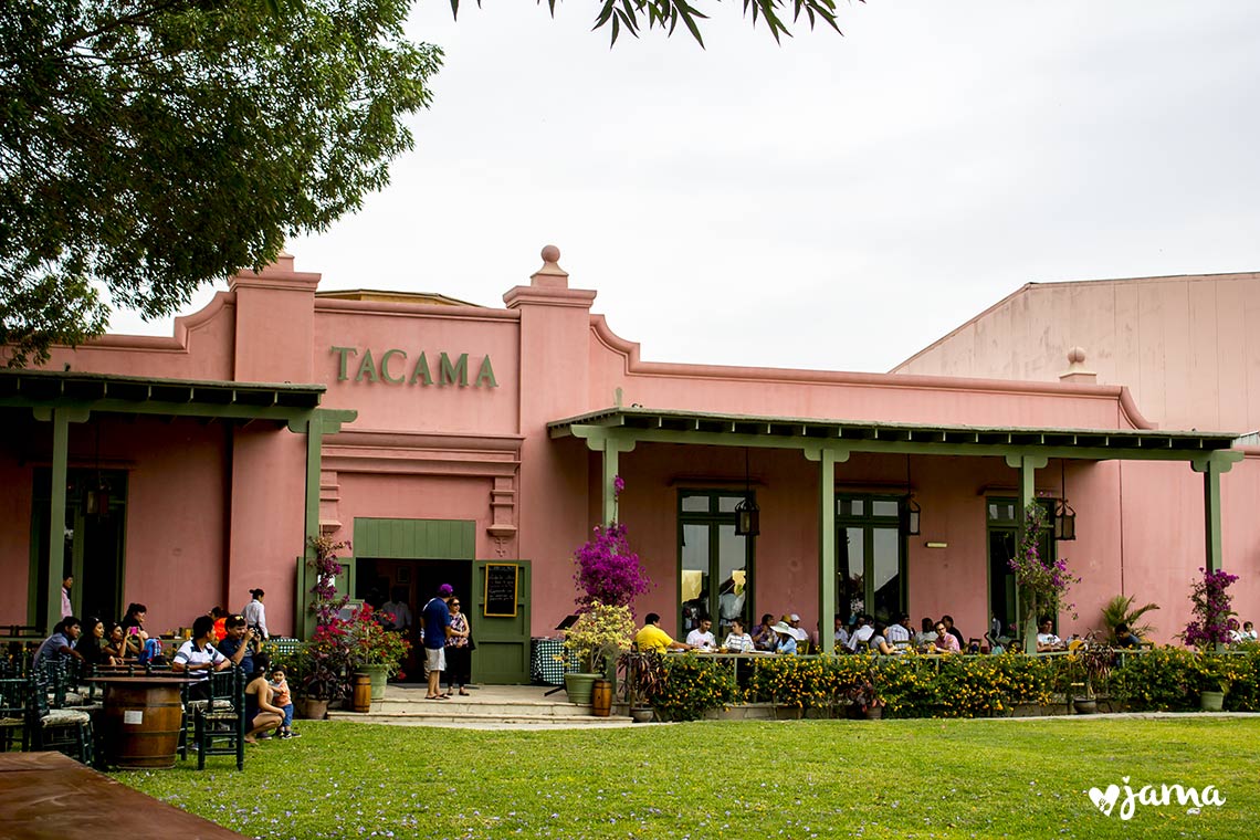 ICA: Visitando la Hacienda y Bodega Tacama